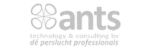 Ants Technology Grijs